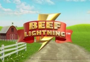 General information about Beef Lightning slot