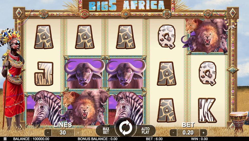 Big 5 Africa