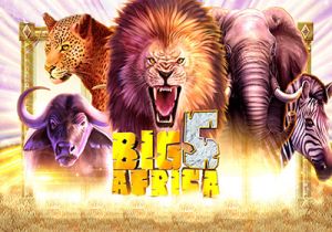 General information about Big 5 Africa slot