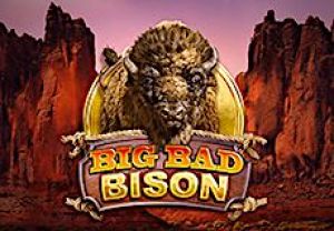 General information about Big Bad Bison slot