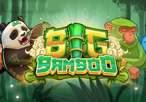 General information about Big Bamboo slot