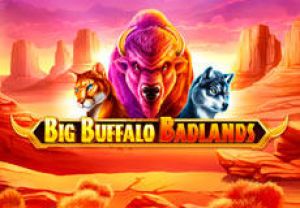 General information about Big Buffalo Badlands slot