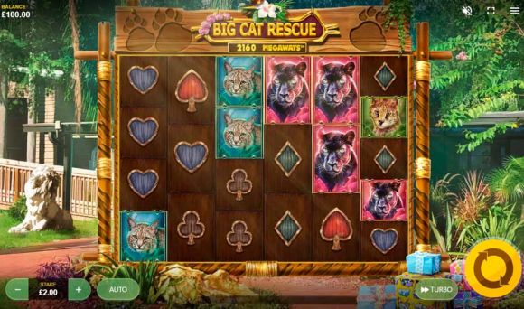 Big Cat Rescue MegaWays