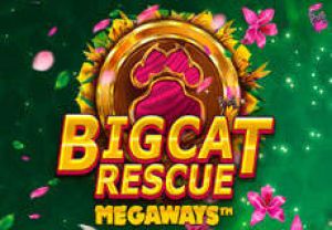 General information about Big Cat Rescue MegaWays slot