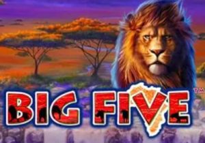 General information about Big Five slot