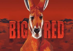 General information about Big Red slot