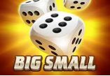 Big Small