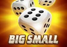 Big Small