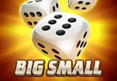 Big Small