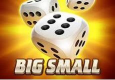 Big Small