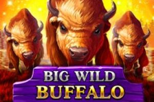 wild wild buffalo slot machine locations