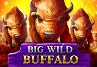 Big Wild Buffalo logo