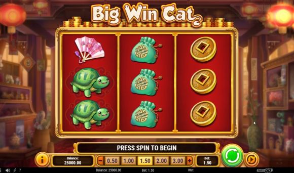 Big Win Cat