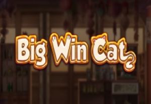 General information about Big Win Cat slot