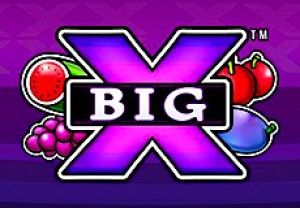 General information about BigX slot