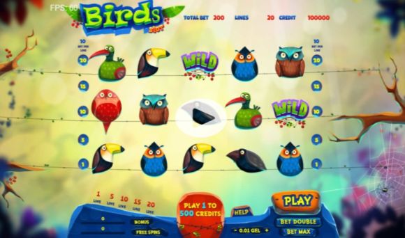 Birds