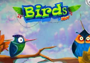 General information about Birds slot