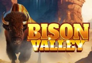 General information about Bison Valley slot