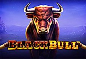 General information about Black Bull slot