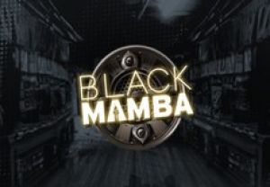 General information about Black Mamba slot