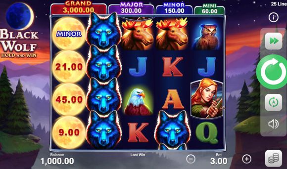Black Wolf Hold and Win