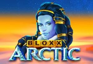 General information about Bloxx Arctic slot