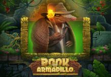 Book Of Armadillo