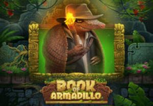 General information about Book Of Armadillo slot