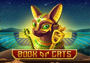 General information about Book of Cats slot