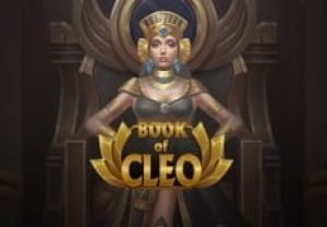 General information about Book of Cleo slot