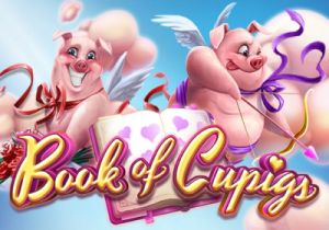 General information about Book of Cupigs slot