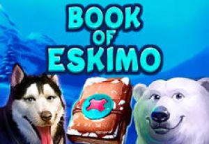 General information about Book of Eskimo slot