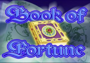 General information about Book of Fortune slot