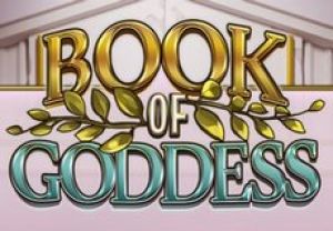 General information about Book of Goddess slot