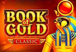 General information about Book of Gold: Classic slot