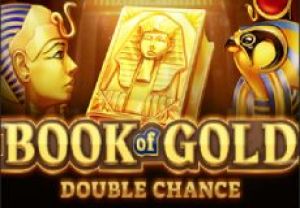 General information about Book of Gold: Double Chance slot