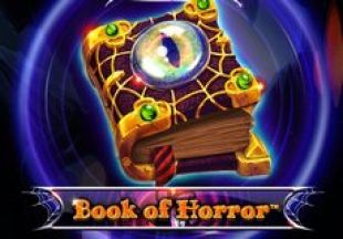General information about Book Of Horror slot
