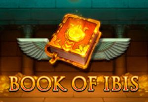 General information about Book of Ibis slot