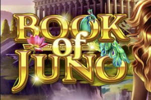 General information about Book of Juno slot