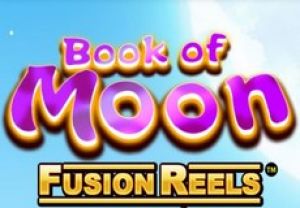 General information about Book of Moon Fusion Reels slot