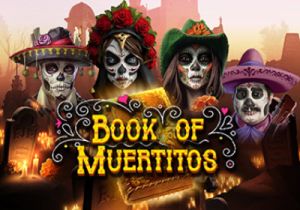 General information about Book of Muertitos slot