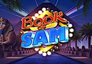 General information about Book of Sam slot