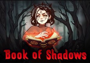 General information about Book of Shadows slot