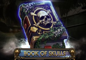 General information about Book of Skulls slot