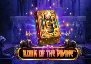 General information about Book Of The Divine slot