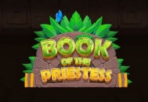 General information about Book of the Priestess slot