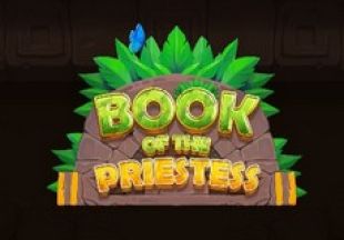 General information about Book of the Priestess slot