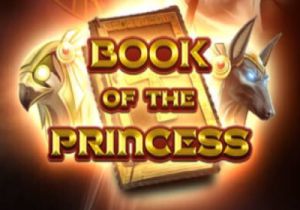 General information about Book of the Princess slot