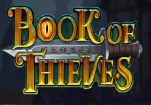 General information about Book of Thieves slot