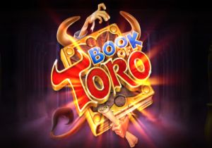 General information about Book of Toro slot